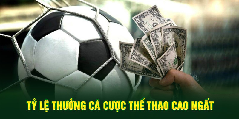 Thể Thao 6 Tỷ lệ thưởng cá cược thể thao cao ngất